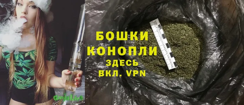 Шишки марихуана THC 21%  Ардатов 